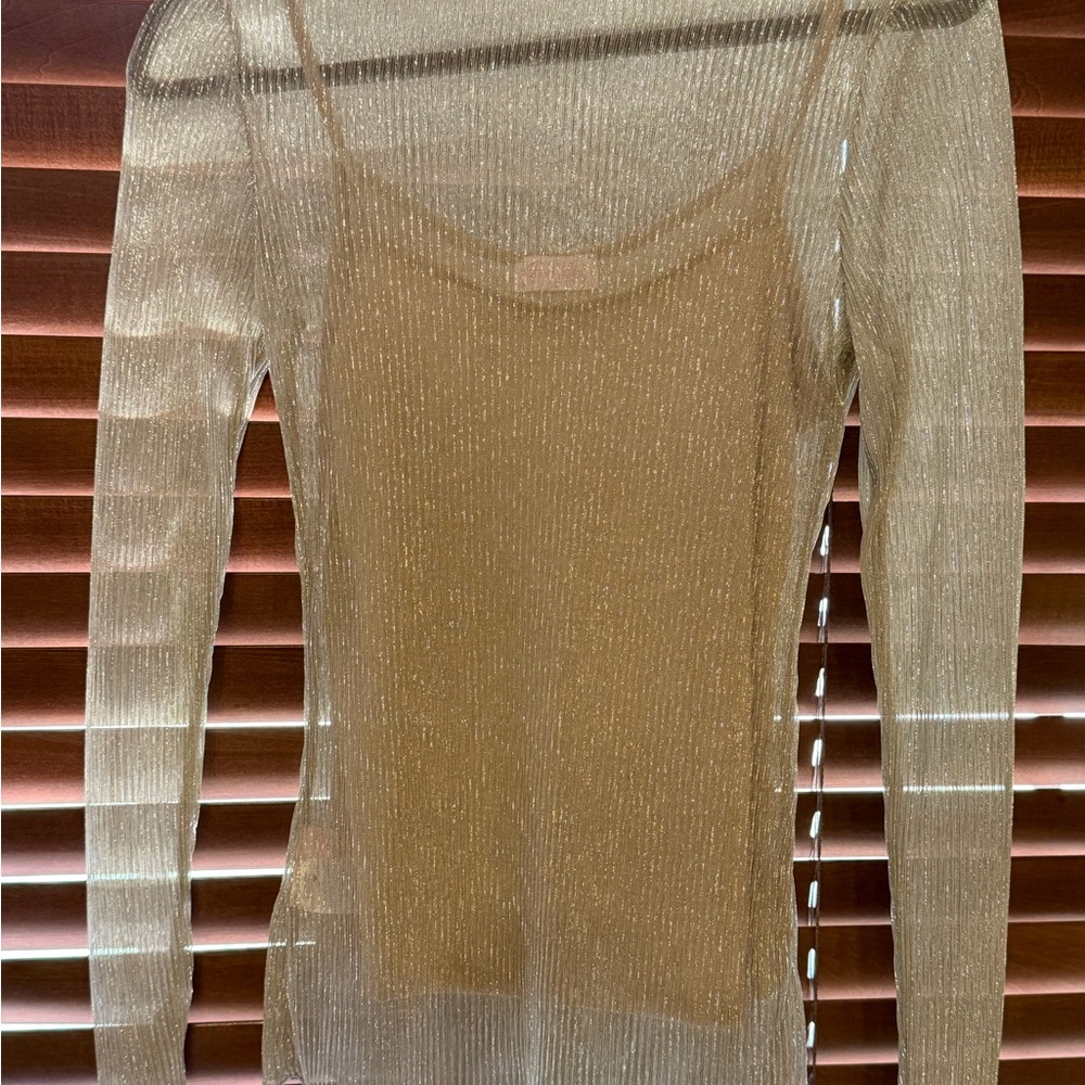 Pink Lily Gold Sheer Long Sleeve Top